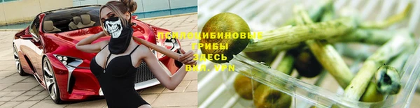 прущие грибы Алексин