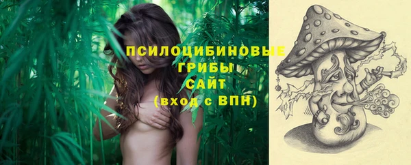 прущие грибы Алексин