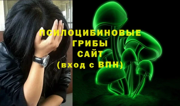 спайс Алексеевка